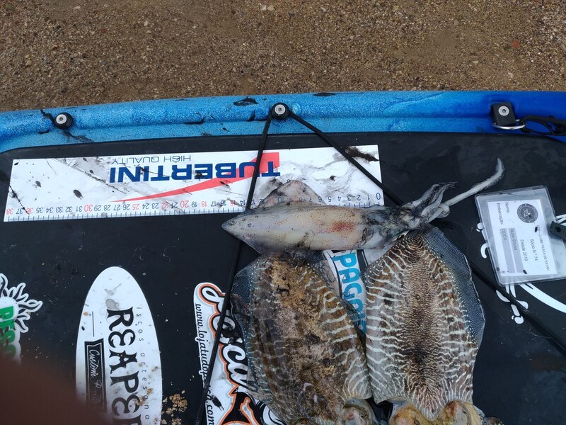 Fish Measure Picture